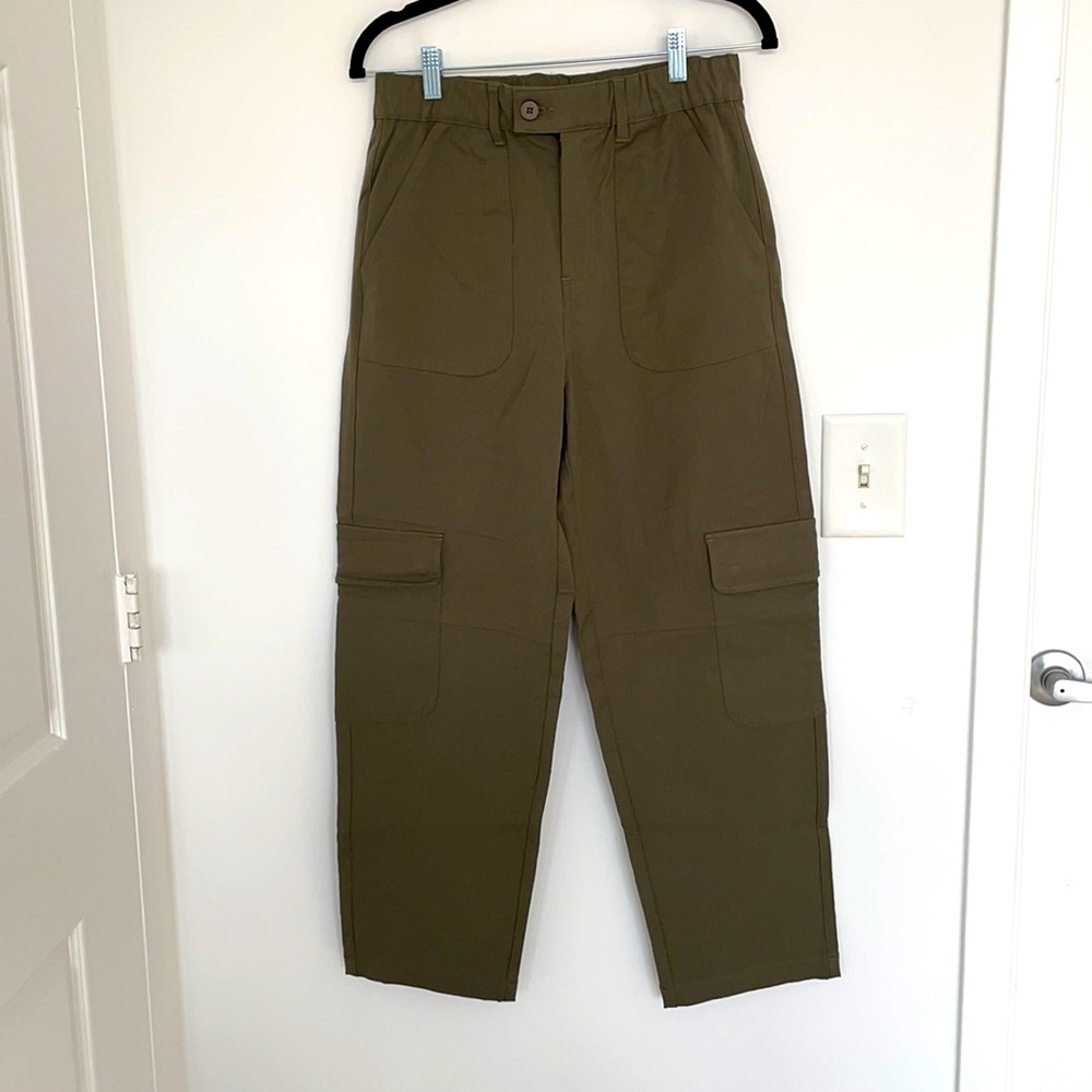 Universal standard karlee cargo pants.
